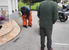 IMG-20260514-WA0003