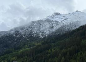 IMG-20260515-WA0003