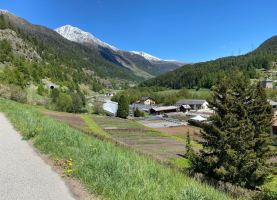 IMG-20260518-WA0006