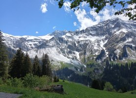 IMG_20260513_143058245_HDR