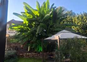 IMG-20250912-WA0018
