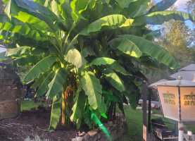 IMG-20250912-WA0021