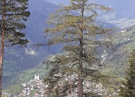 IMG-20230522-WA0056
