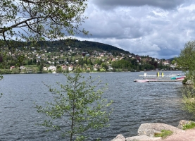 IMG-20240507-WA0010