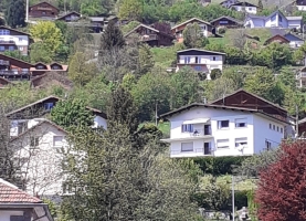 IMG-20240512-WA0008