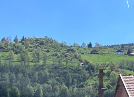 IMG-20240512-WA0033