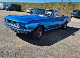 IMG-20240515-WA0018